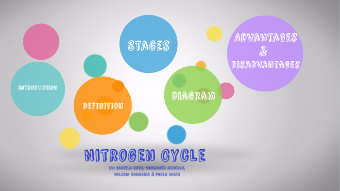 Nitrogen cycle by Ana M on Prezi
