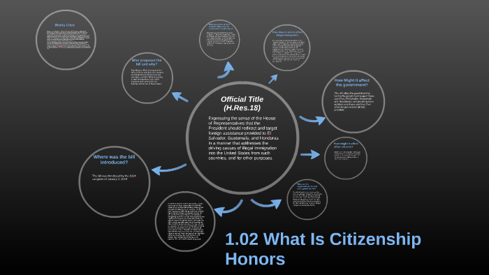 assignment 01.02 what is citizenship