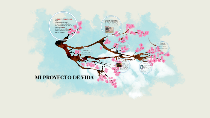 MI PROYECTO DE VIDA by Katherine Alvarado Rojas on Prezi