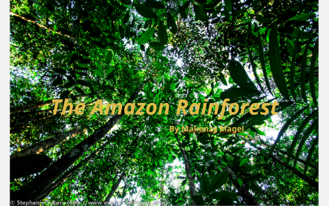 The Amazon Rainforest by zy ♡ on Prezi