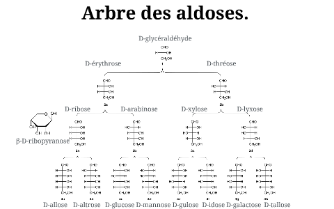 Les Molécules Du Vivants. By Teddy L. On Prezi