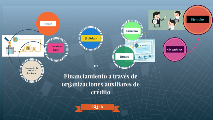 Financiamiento a través de organizaciones auxiliares de crédito by