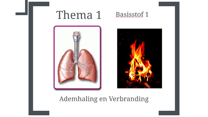 Havo 2 Thema 1 gaswisseling by samir ezzoubaa on Prezi