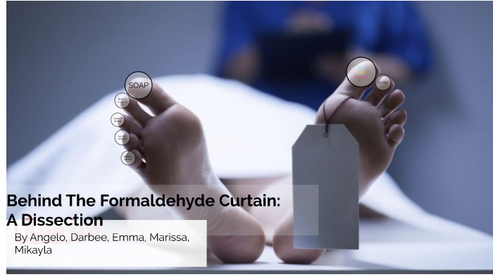 Behind The Formaldehyde Curtain A Dissection By Angelo Andoyo On