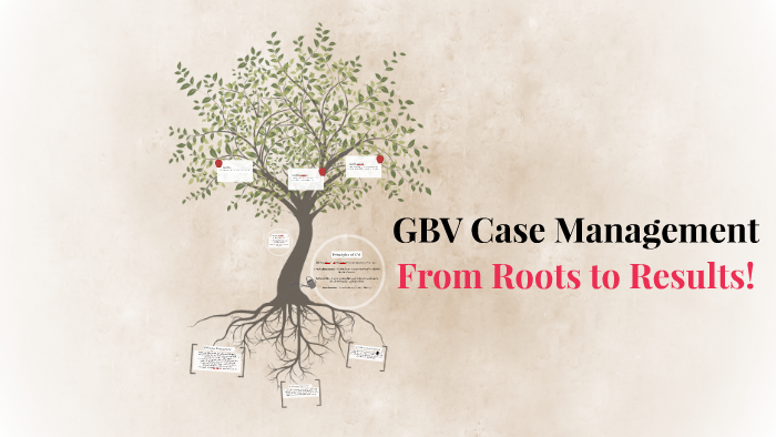 gbv-case-management-by-shadreck-banda