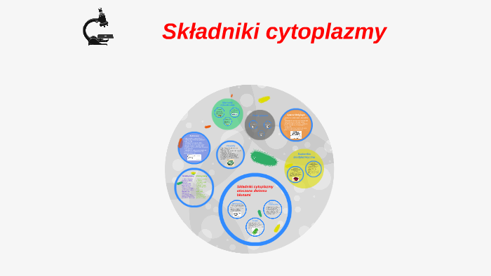 Składniki cytoplazmy by Agata Sakowicz on Prezi