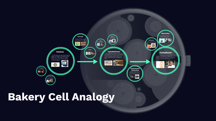 Bakery Cell Analogy by Austin Smith on Prezi
