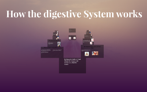 The digestive system by demondre Butler on Prezi