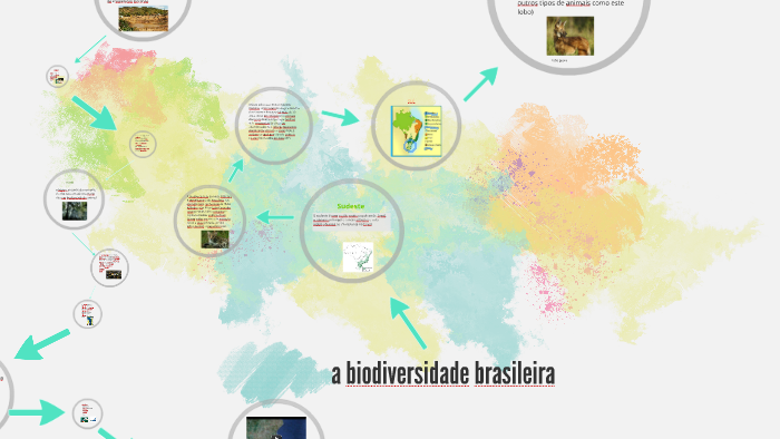a biodiversidade brasileira by felipe costa sales on Prezi