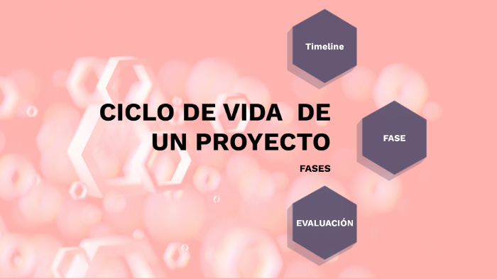 CICLO DE VIDA DE UN PROYECTO by JULIA LEMUS on Prezi
