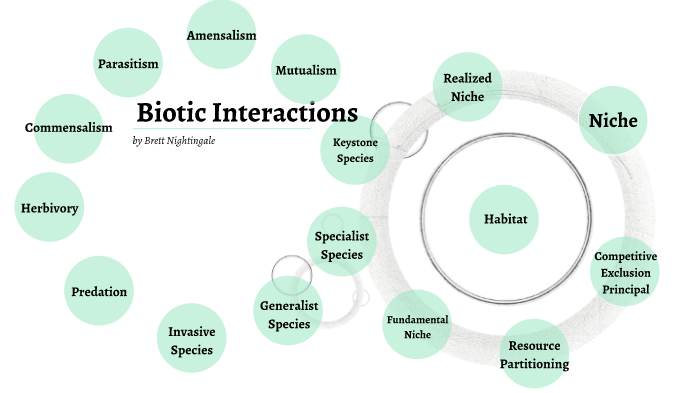 Biotic Interactions By Brett Nightingale On Prezi