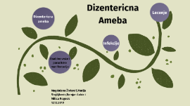 Dizentericna Ameba By Nemanja Maric