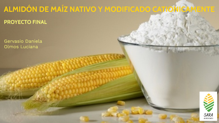 Almidón de Maíz Nativo y Modificado Cationicamente by Luciana Olmos on