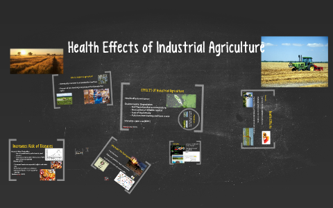 Health Effects Of Industrial Agriculture By Manish Joshi