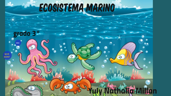 Ecosistema Marino En Colombia By Nathalia Millan On Prezi Next