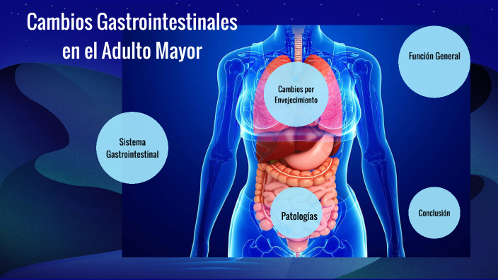 CAMBIOS GASTROINTESTINALES EN LA VEJEZ by LORENA ANCONA AMARILLAS on Prezi