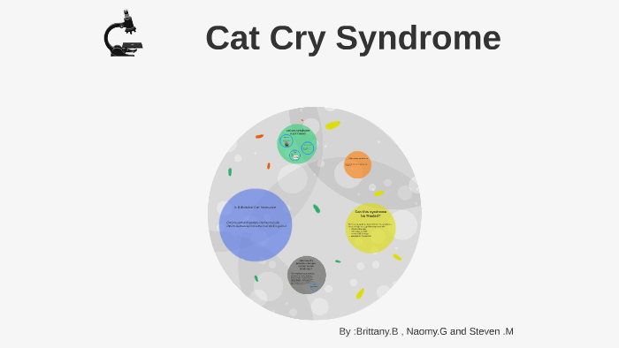 cat-cry-syndrome-by-naomy-gonzalez