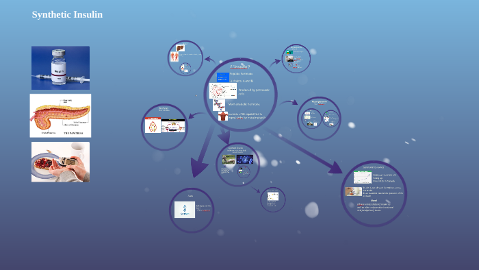 Insulin by on Prezi