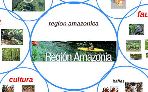region amazonica by maicol paez on Prezi