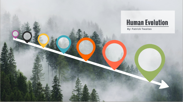 Human Evolution Timeline by Patrick Twaites on Prezi