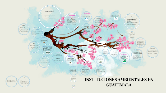 Listado De Instituciones Ambientales De Guatemala