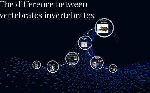 the difference between vertebrates invertebrates by sammy defilippis