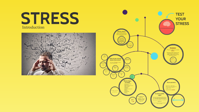 STRESS by Jason Tolmie on Prezi