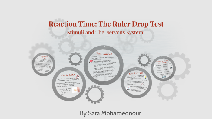 ruler drop science experiment