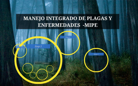 MANEJO INTEGRADO DE PLAGAS Y ENFERMEDADES -MIPE By German Ramirez On Prezi