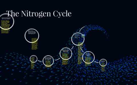 The Nitrogen Cycle by imanichynna peterson on Prezi