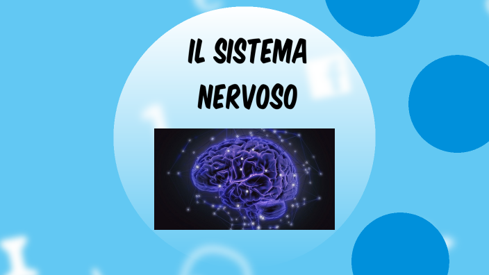 Il sistema nervoso e gli organi di senso by Marco Polo Genova Genova on ...