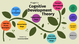 What is piaget's cognitive developmental online theory