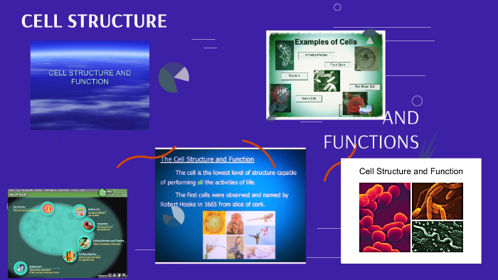 CELL STRUCTURE by salena ward on Prezi