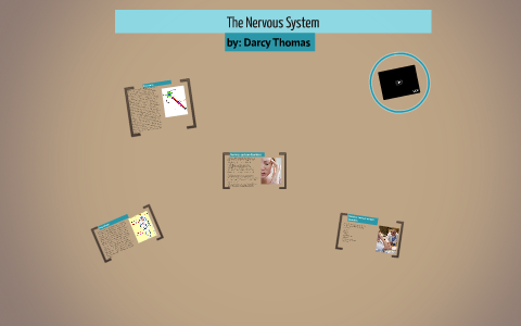 The Nervous System by on Prezi