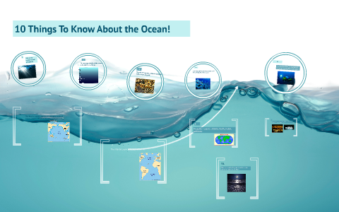 10 Facts About the Ocean! by Katherine Ryan on Prezi