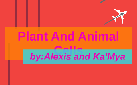 Plant And Animal Cells by Alexis Tillman on Prezi