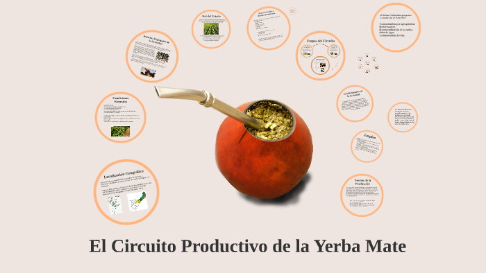 Producción & Circuito Productivo de la Yerba Mate