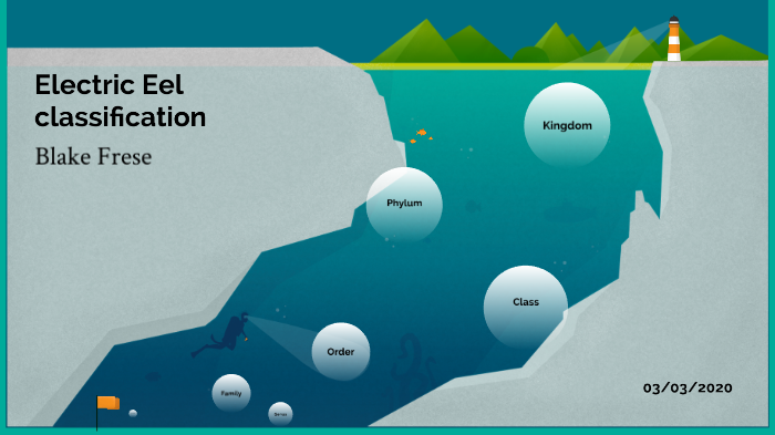 Electric Eel classification by Blake Frese on Prezi