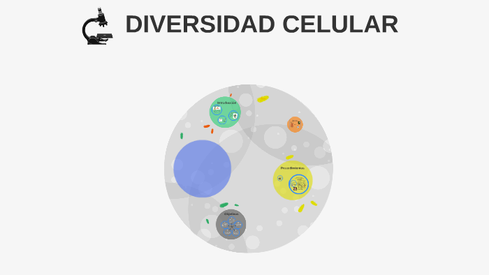 DIVERSIDAD CELULAR