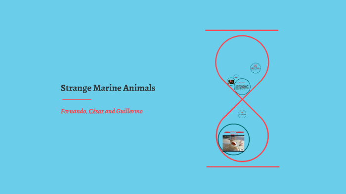 Strange Marine Animals by Guillermo Sánchez on Prezi