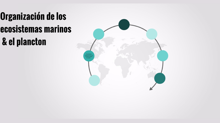 Organización de los ecosistemas marinos by Valeria Pacheco on Prezi