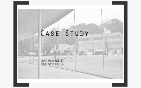 Pyramid door case study prezi 04 picture