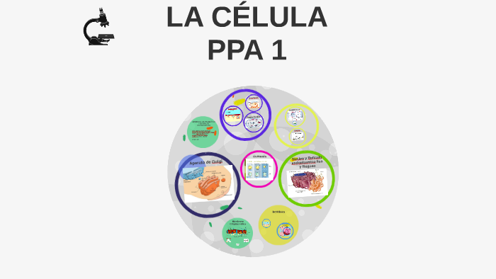 LA CÉLULA by Daniela Hdz A on Prezi