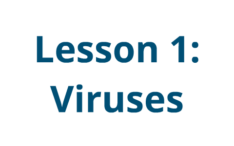 Lesson 1: Viruses by carl weber on Prezi