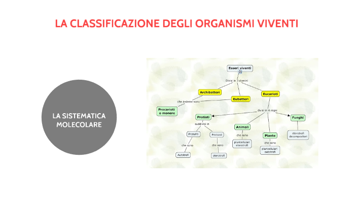 Lo Studio Delle Regole Per La Classificazione Degli Organismi LA CLASSIFICAZIONE DEGLI ORGANISMI VIVENTI by Andrea Bertocchi on Prezi