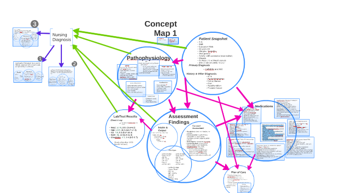Concept Map 1 by Mariah McGriff on Prezi