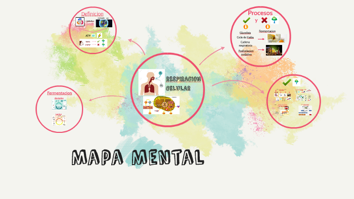 Respiracion celular by Cristina Story on Prezi Next