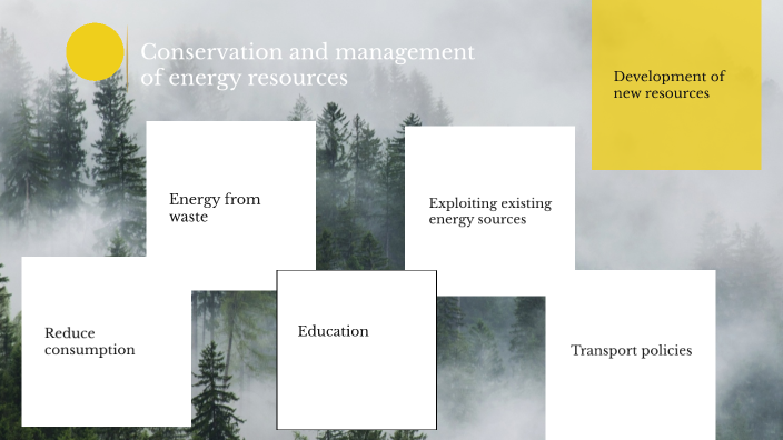 2.4 - Conservation and management of energy resources by Nicole ...