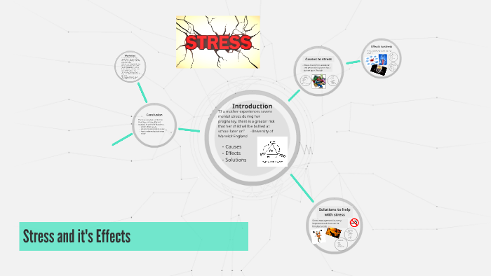 Stress and it's Effects by Adam Breckinridge on Prezi