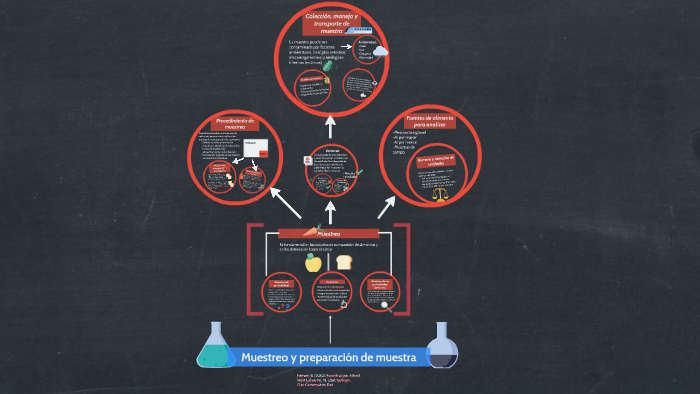 Muestreo Y Preparación De Muestra By Mariana G On Prezi Next